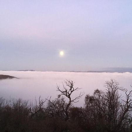 Un Giardino Sul Lago Montefiascone Exteriér fotografie