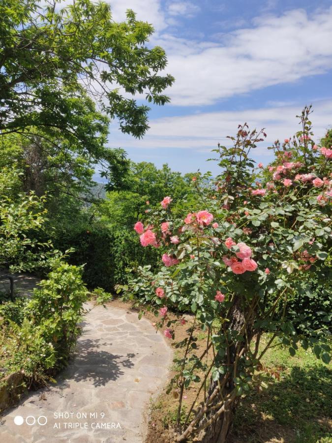 Un Giardino Sul Lago Montefiascone Exteriér fotografie