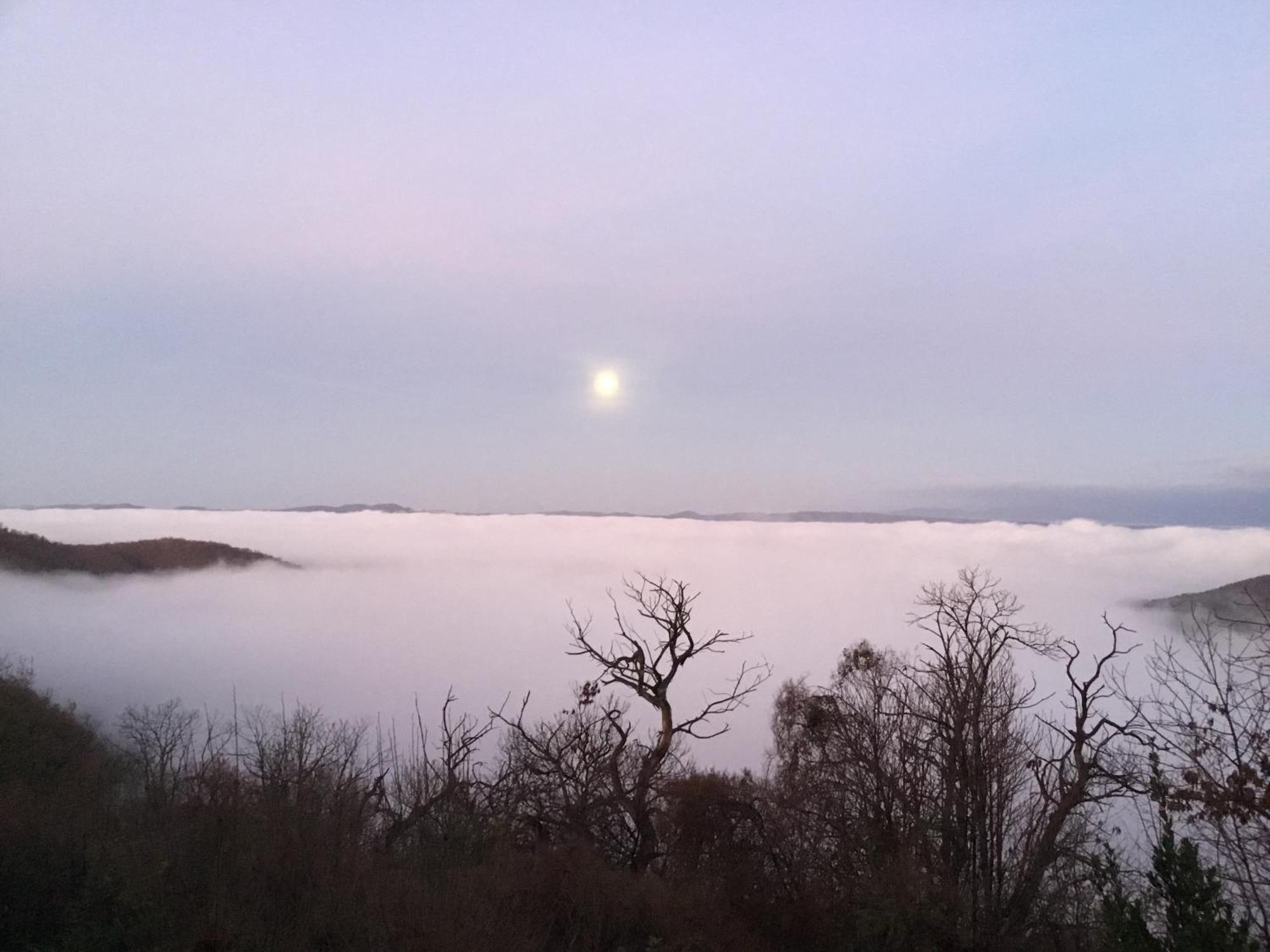 Un Giardino Sul Lago Montefiascone Exteriér fotografie