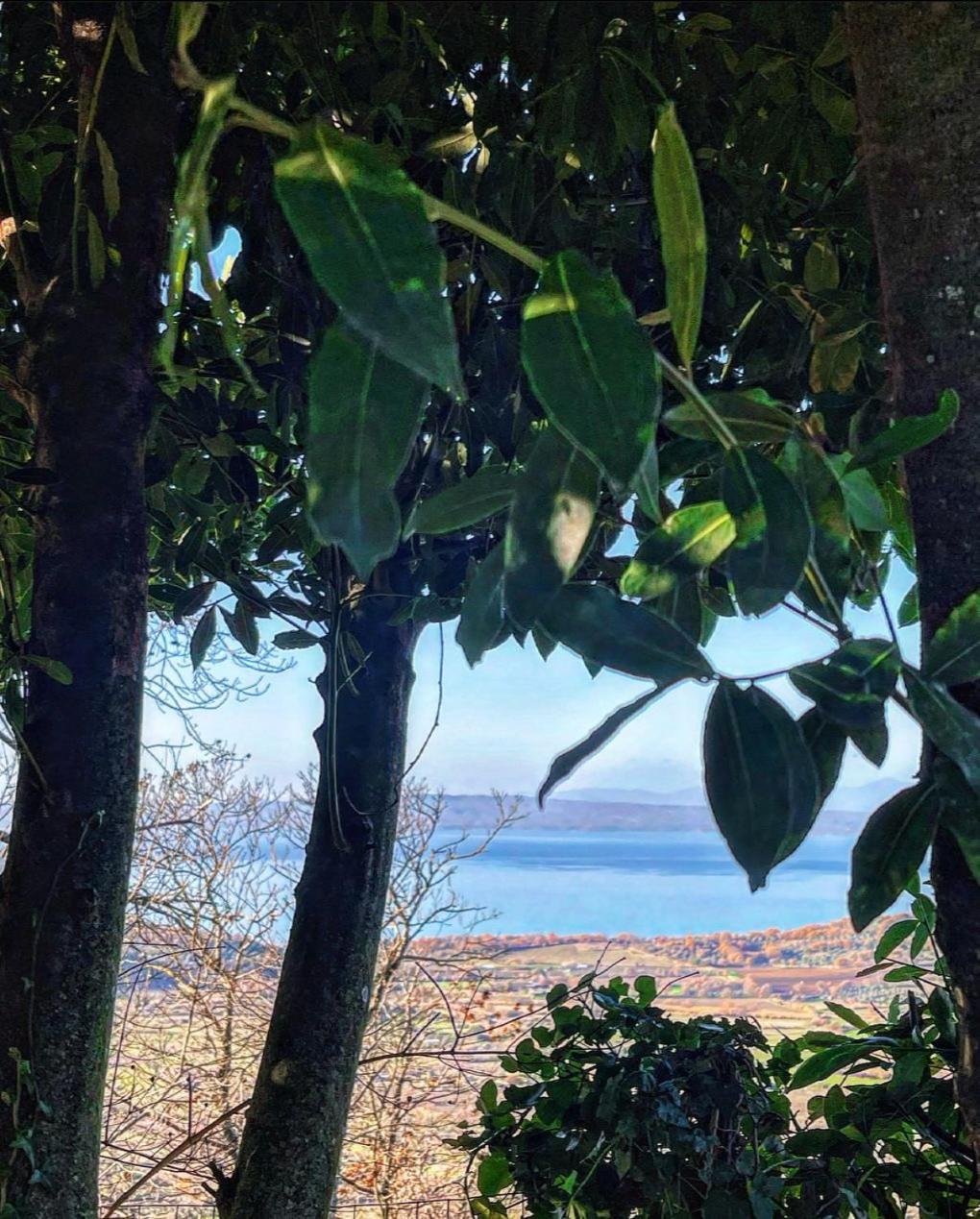 Un Giardino Sul Lago Montefiascone Exteriér fotografie
